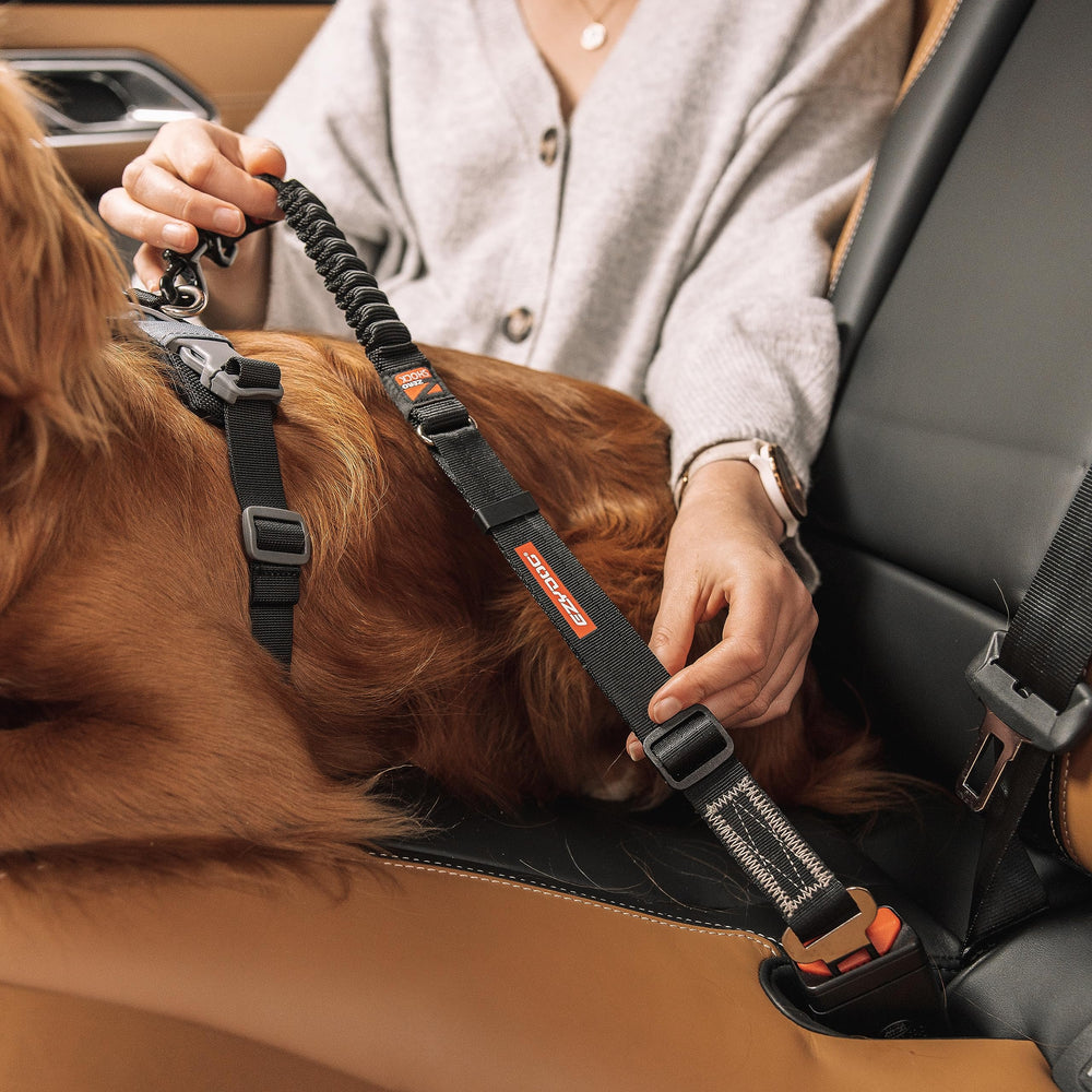 EzyDog Cero Sacudidas Diseño anti distracciones para conducción más segura