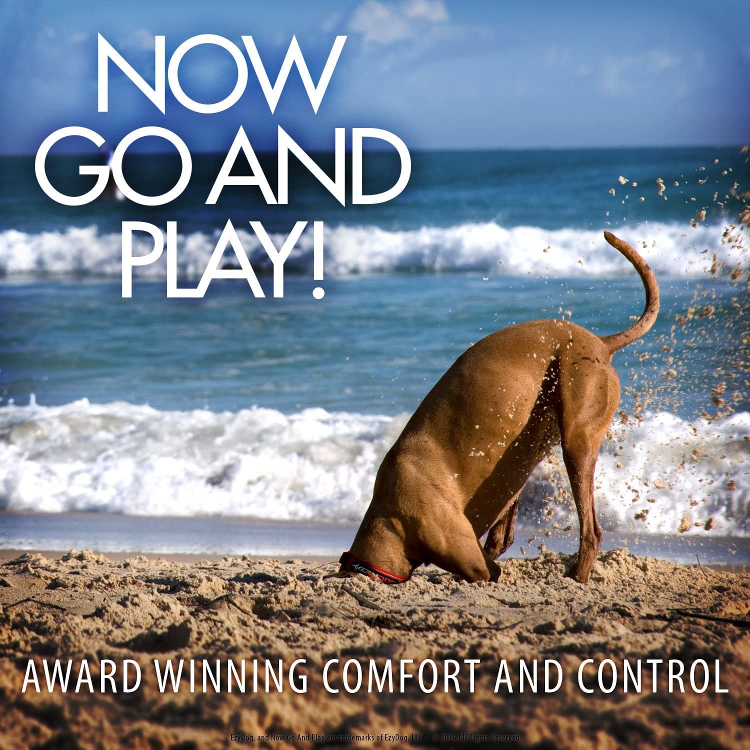 EzyDog: conectar arneses compatibles para un ajuste seguro