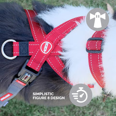 Hebilla rápida del arnés EzyDog Crosscheck para colocar y quitar fácilmente.