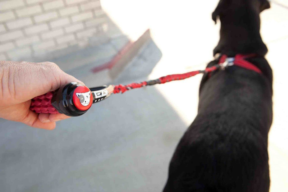 EzyDog Cujo absorción de choques reduce tirones durante caminatas.