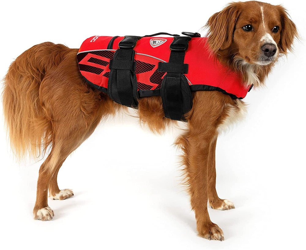 EzyDog DFD chaleco rojo con asa para guiar al perro al salir del agua