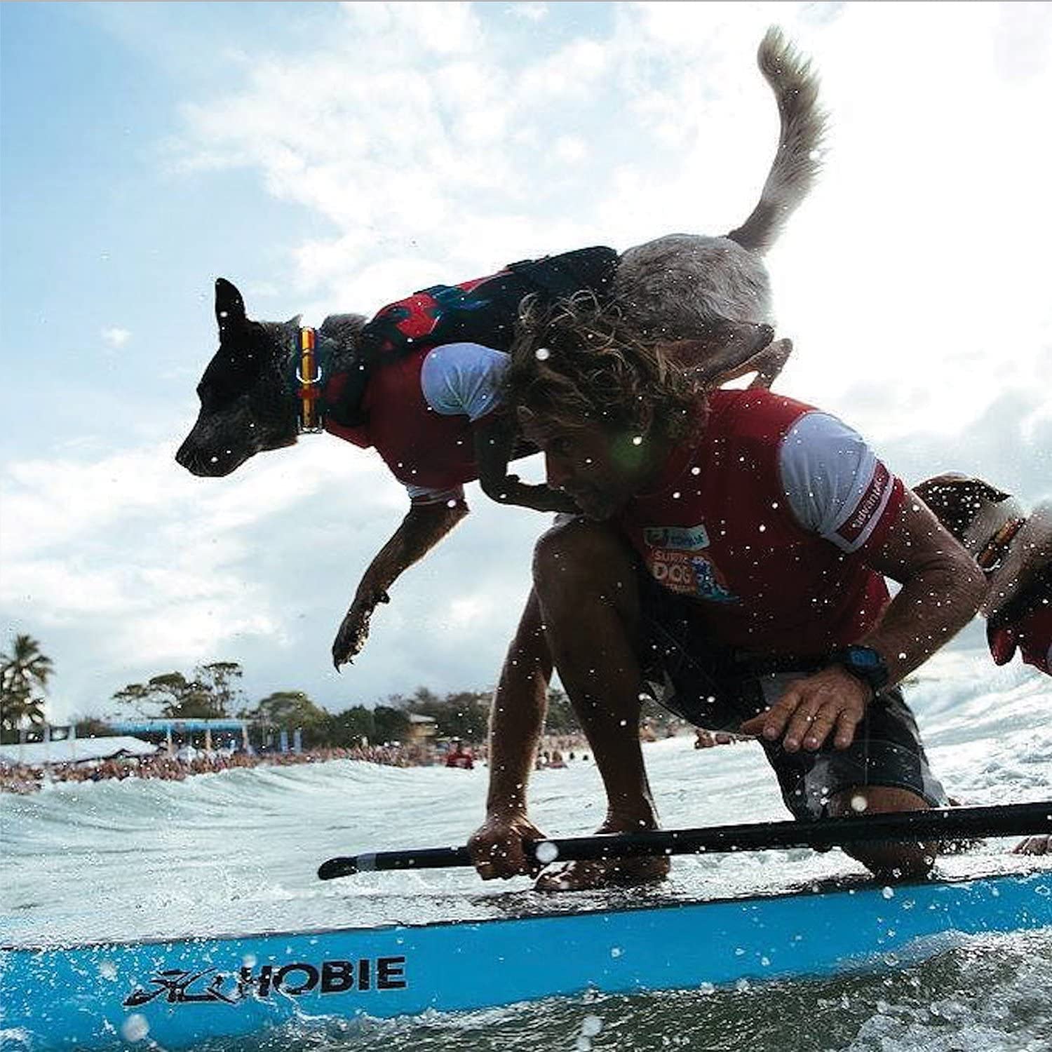EzyDog DFD rojo con detalles reflectantes para visibilidad en la oscuridad