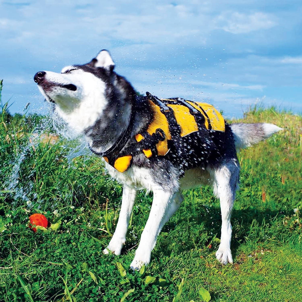 EzyDog DFD rojo con asa dura para facilitar sacar al perro del agua
