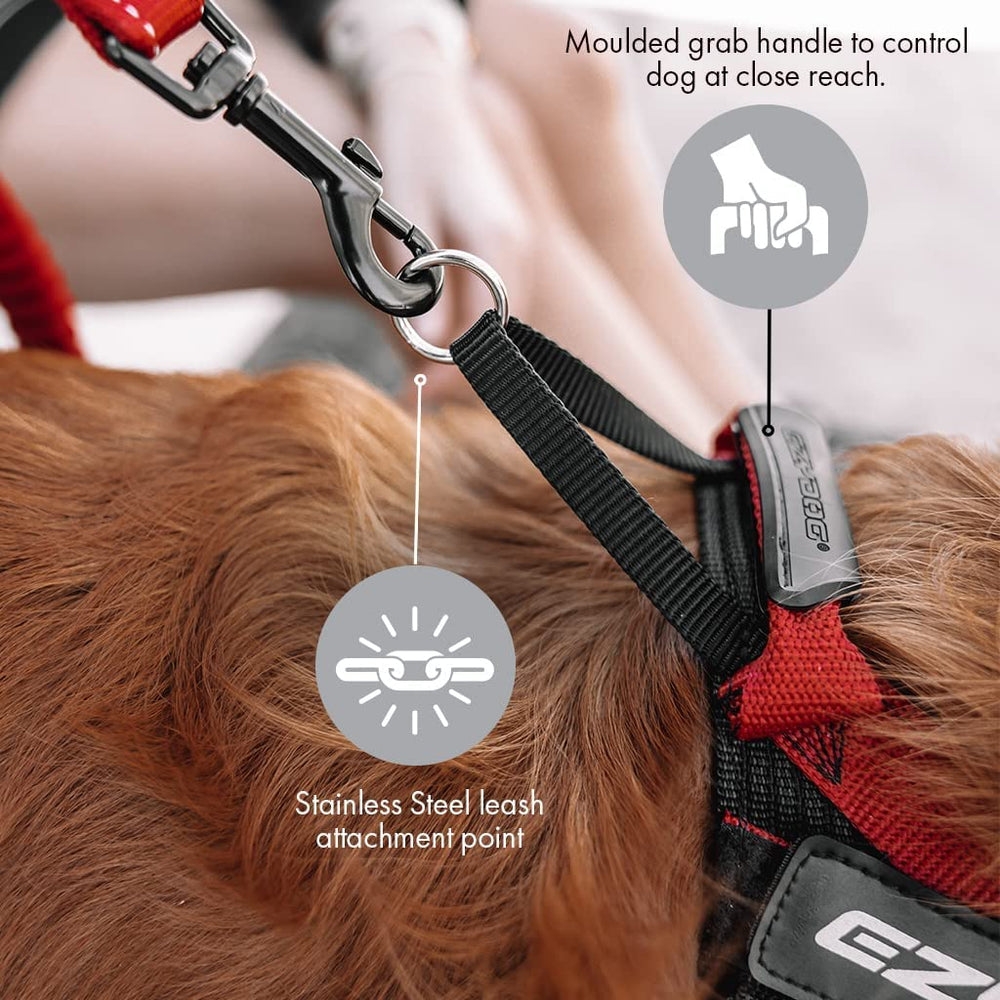 Arnés EzyDog Express con ajuste adaptable para perros de todos los tamaños