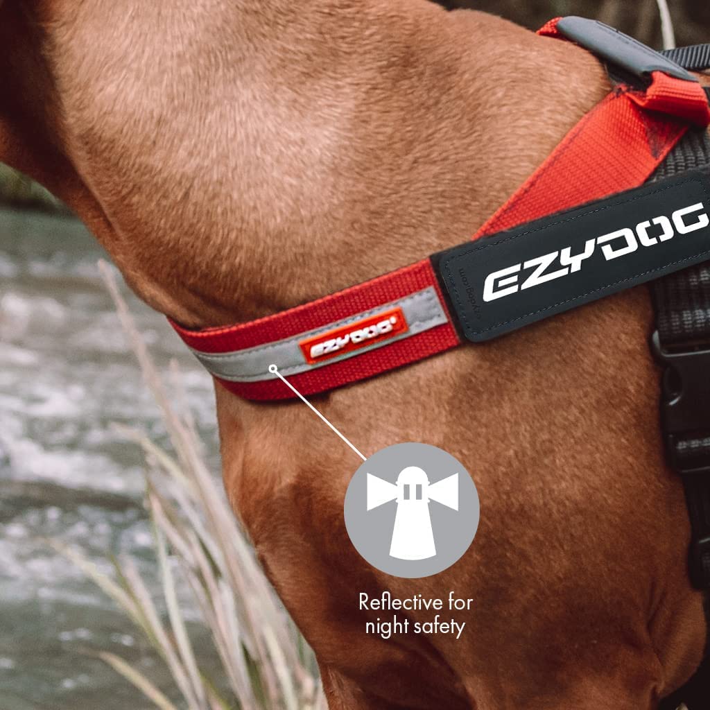 Arnés EzyDog Express con anilla para accesorios y correa adicional