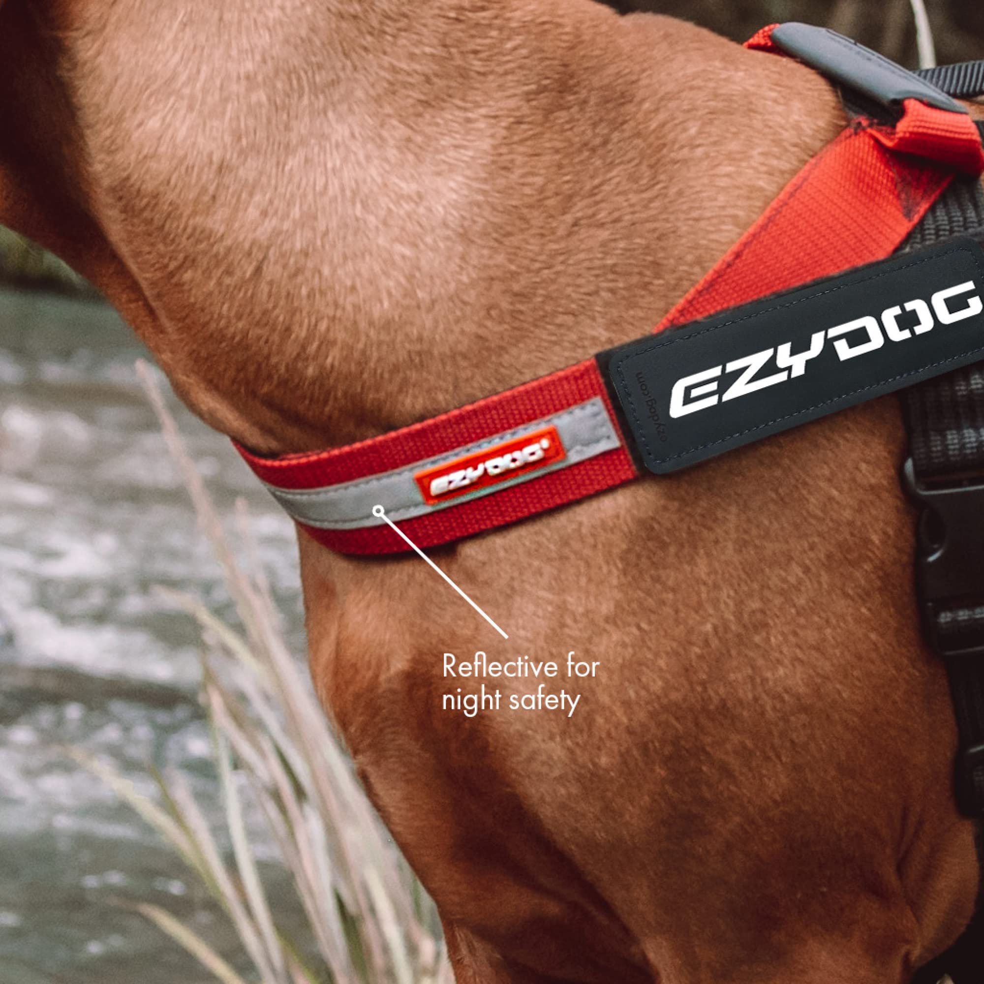 Compatibilidad de accesorios del EzyDog Express para mayor versatilidad