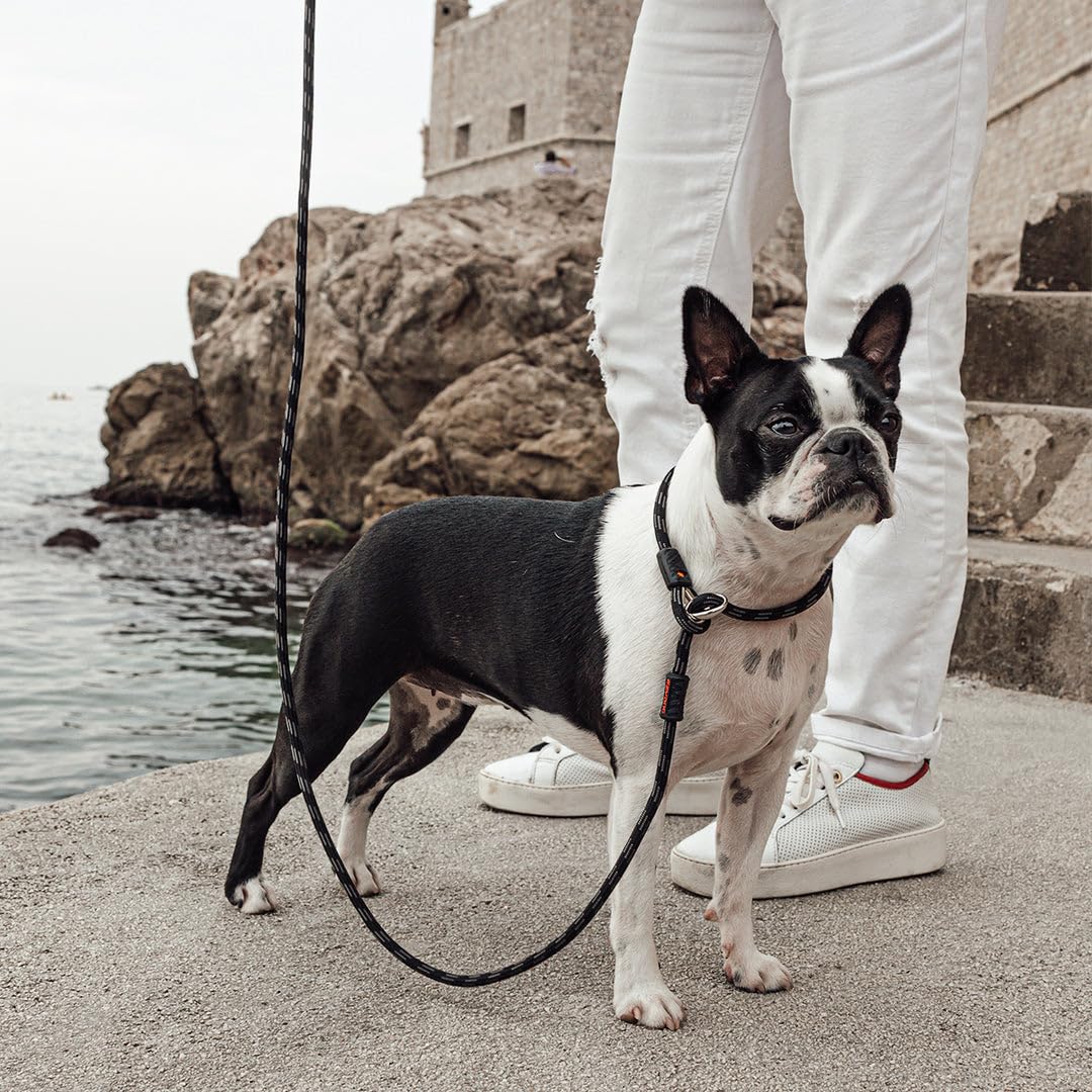 EzyDog Luca Slip Lead de 5,5 pies ideal para todo tamaño de perro