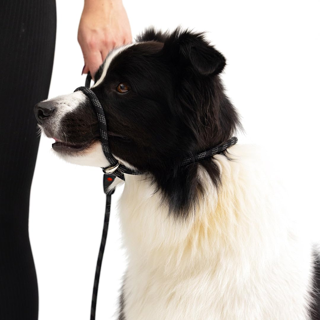 EzyDog Luca Slip Lead se transforma en arnés de cabeza para mayor control