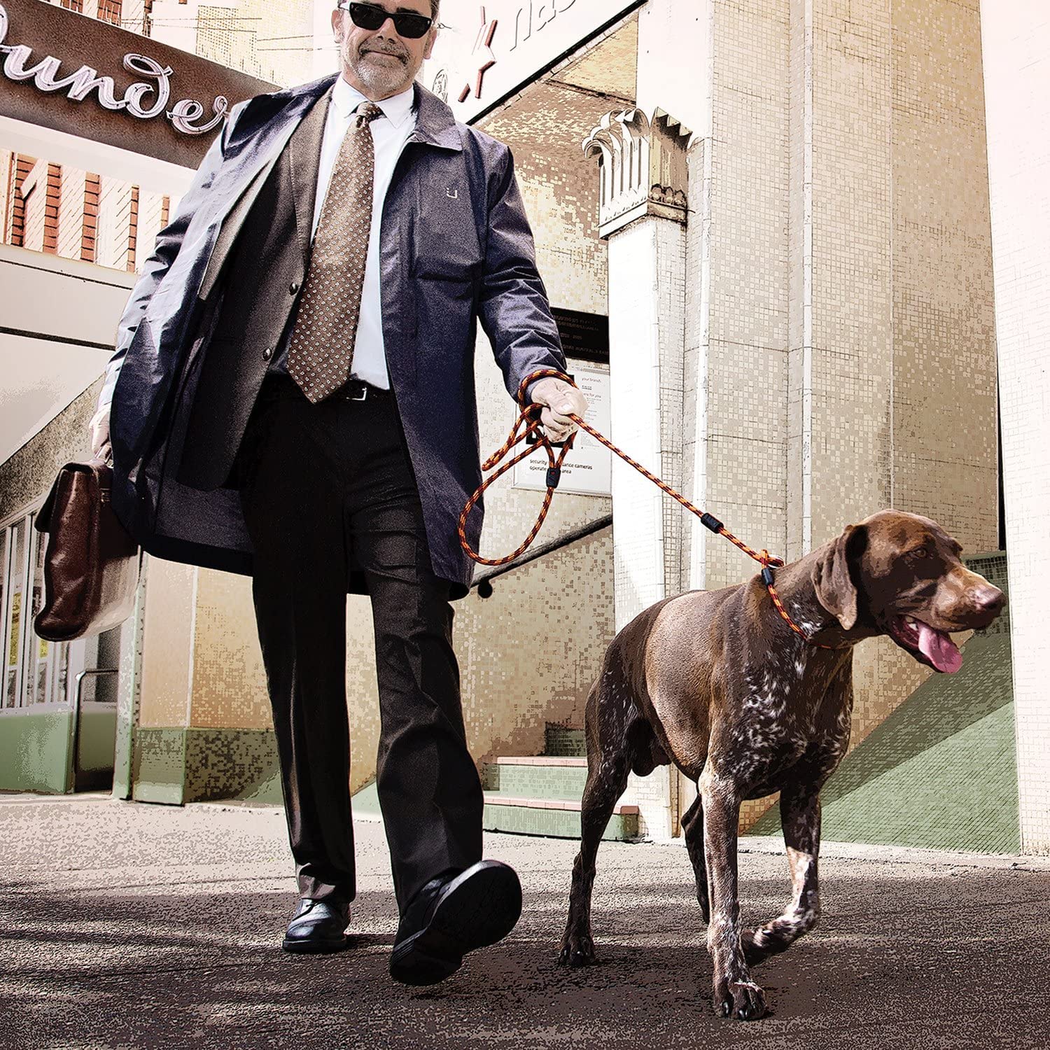 EzyDog Luca Slip Lead diseño ligero y resistente para uso diario