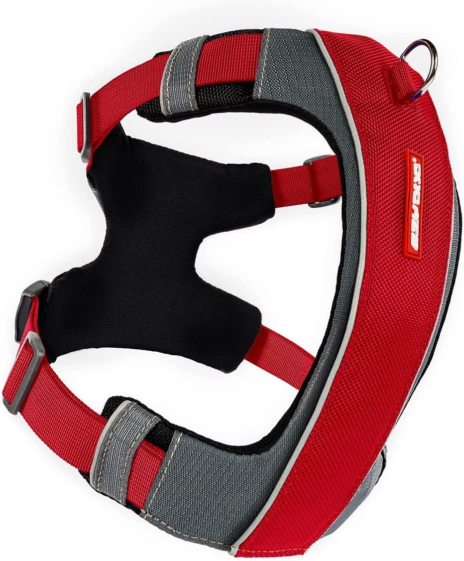 Arnés EzyDog X-Link con anilla frontal para control durante el entrenamiento.