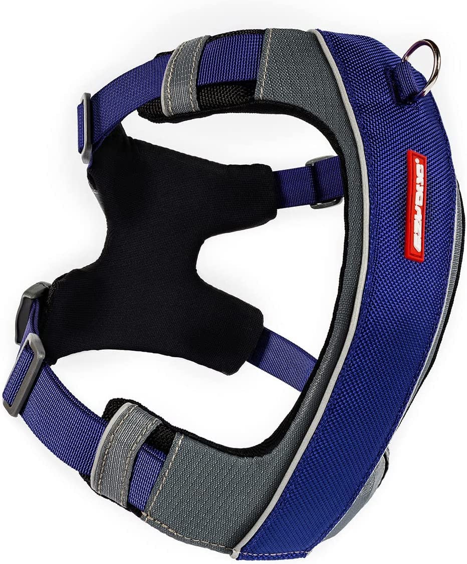 Arnés EzyDog X-Link con enganche frontal para control durante entrenamiento.