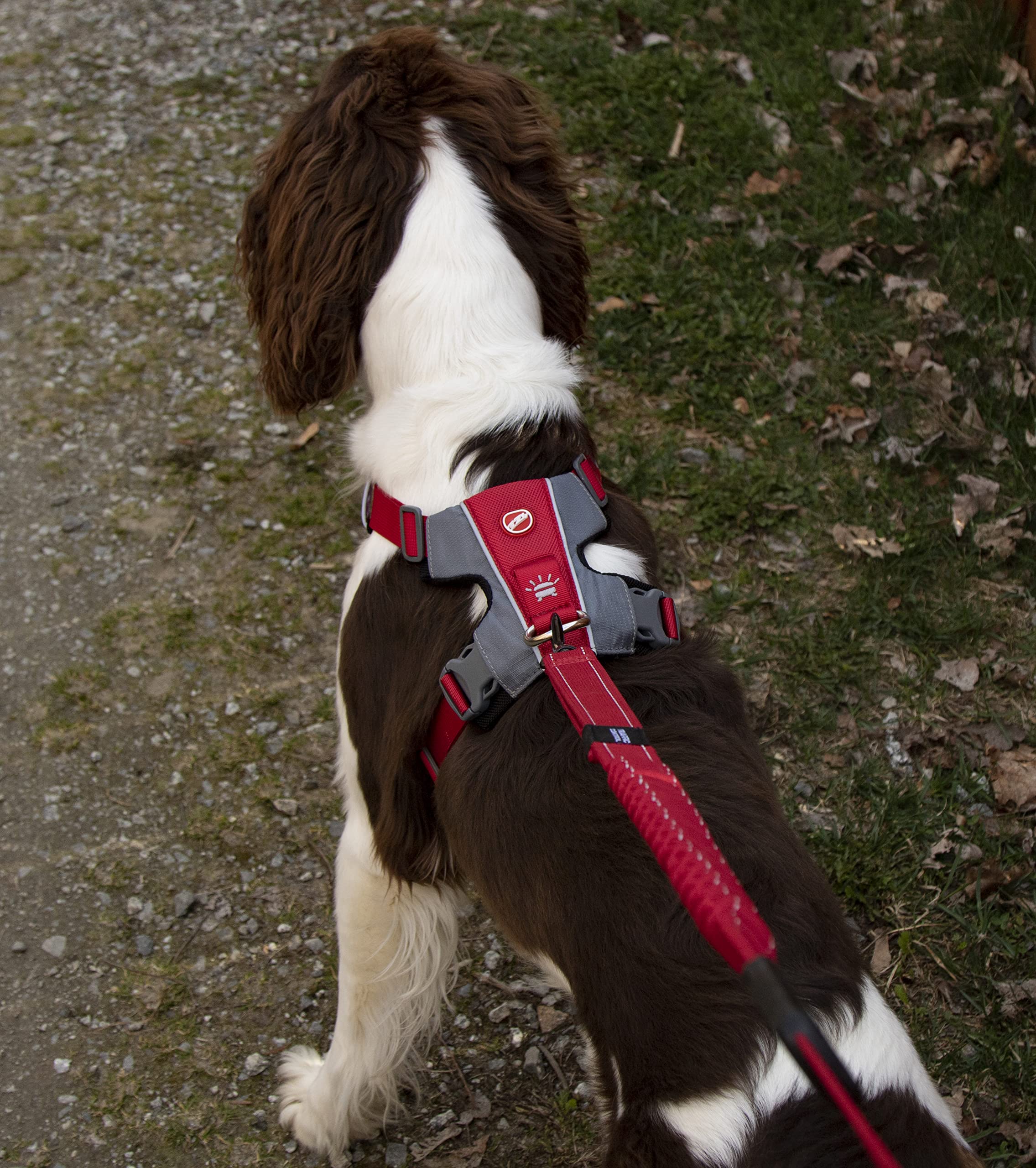 Arnés EzyDog X-Link con cinturón elástico incorporado para menos presión.