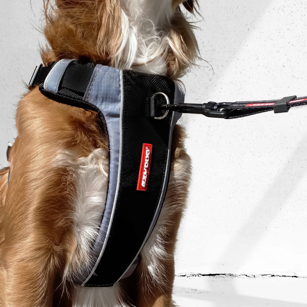 EzyDog X-Link: punto de luz integrado para visibilidad adicional en la oscuridad.