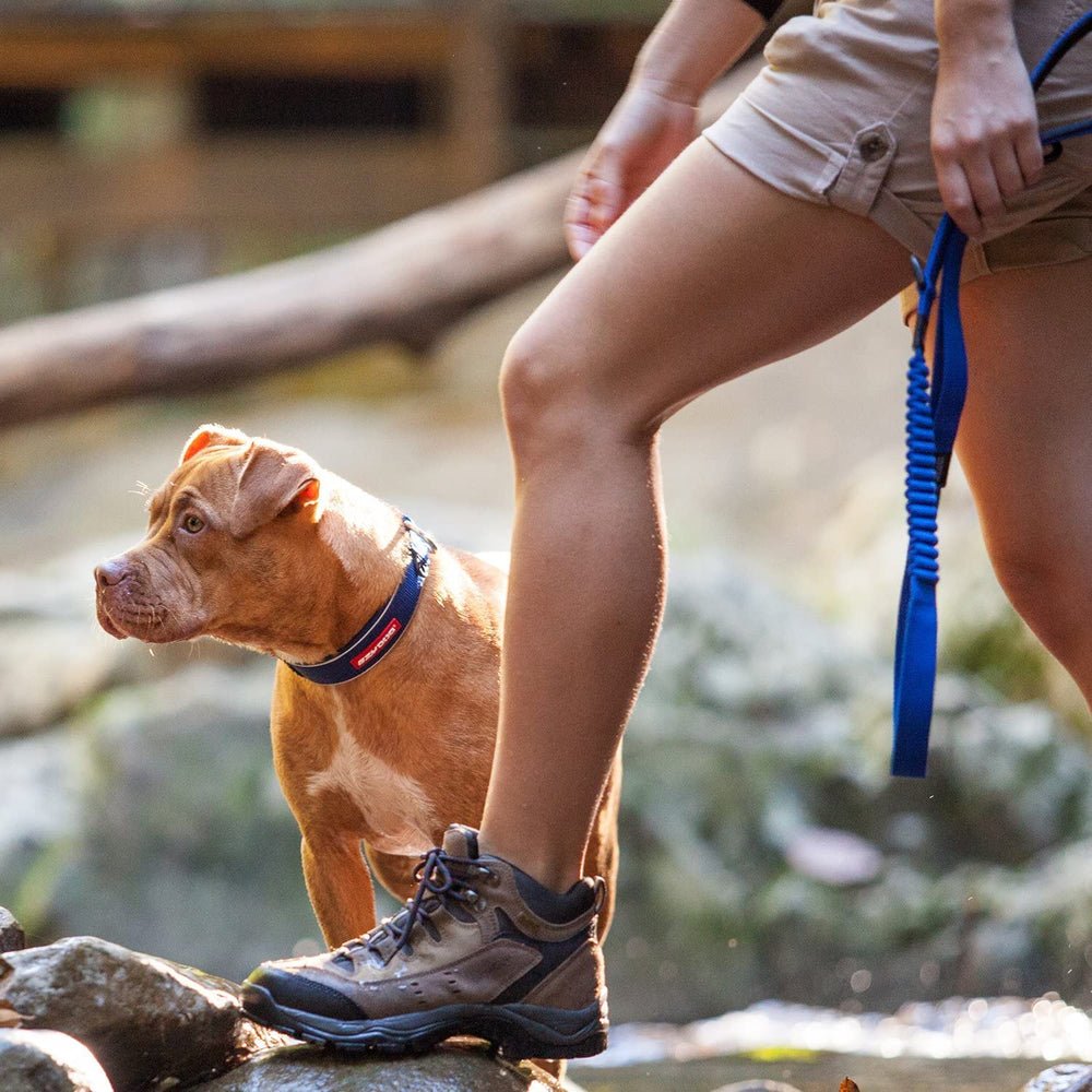 EzyDog Zero Shock, asa de control de tráfico para paseos en zonas concurridas.