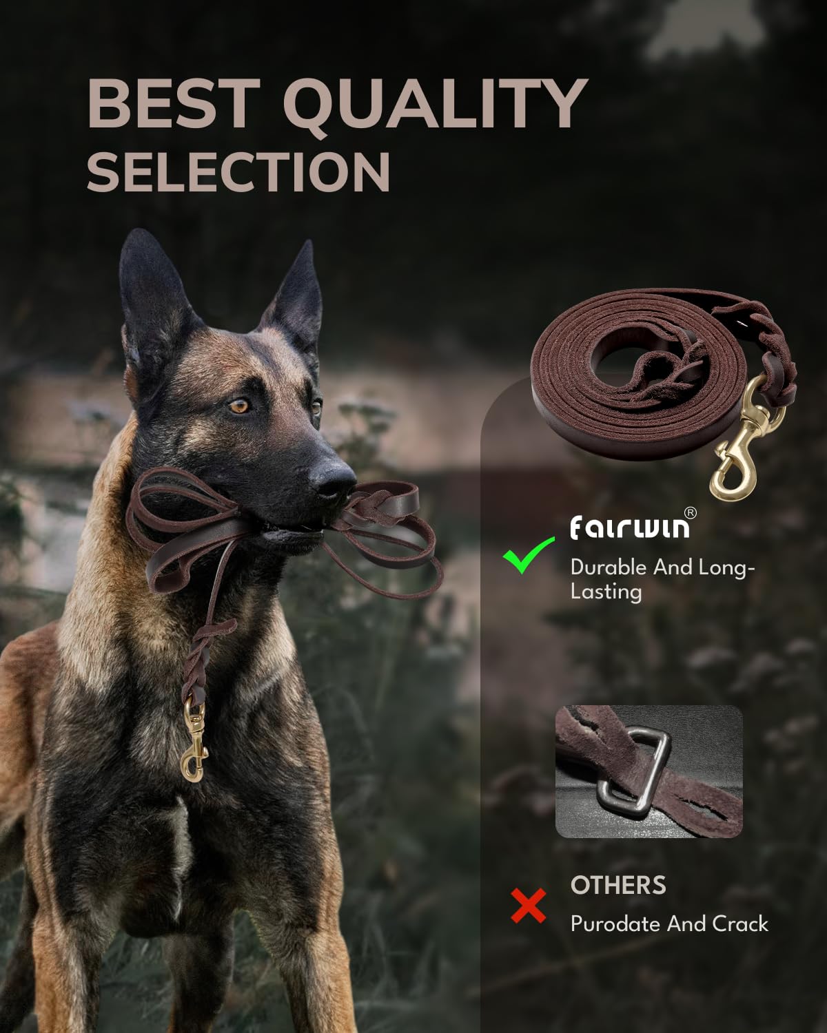 Fairwin empaque en caja exclusiva para regalo