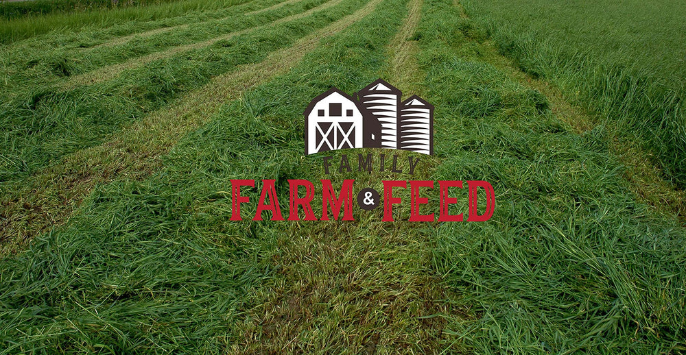 Pellets para cama y sustrato, FAMILY FARM AND FEED