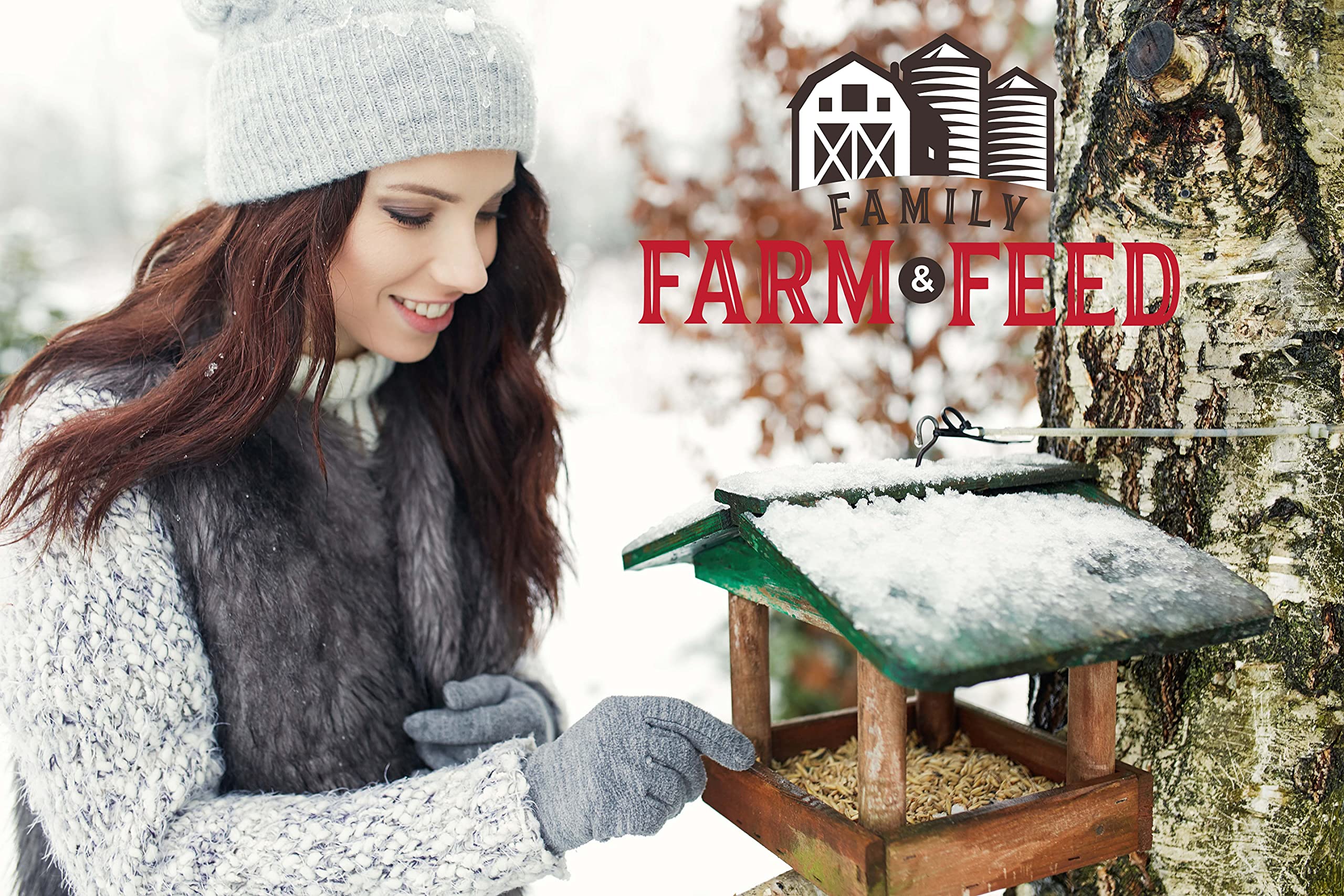 FAMILY FARM AND FEED: semilla-girasol-negro-jarra-alimentacion, facilita la alimentación diaria de aves.