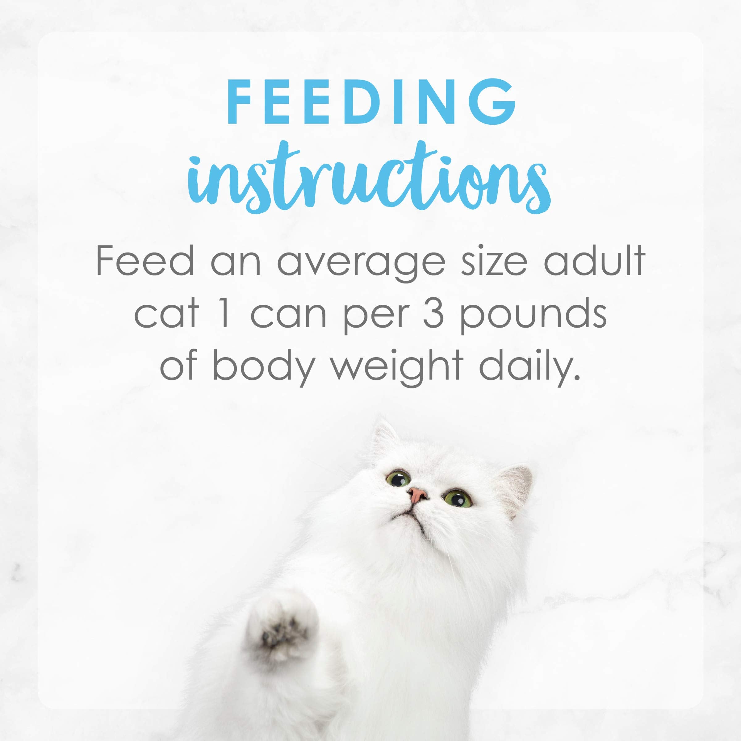 Fancy Feast Latas Reciclables: opción responsable para tu gato.