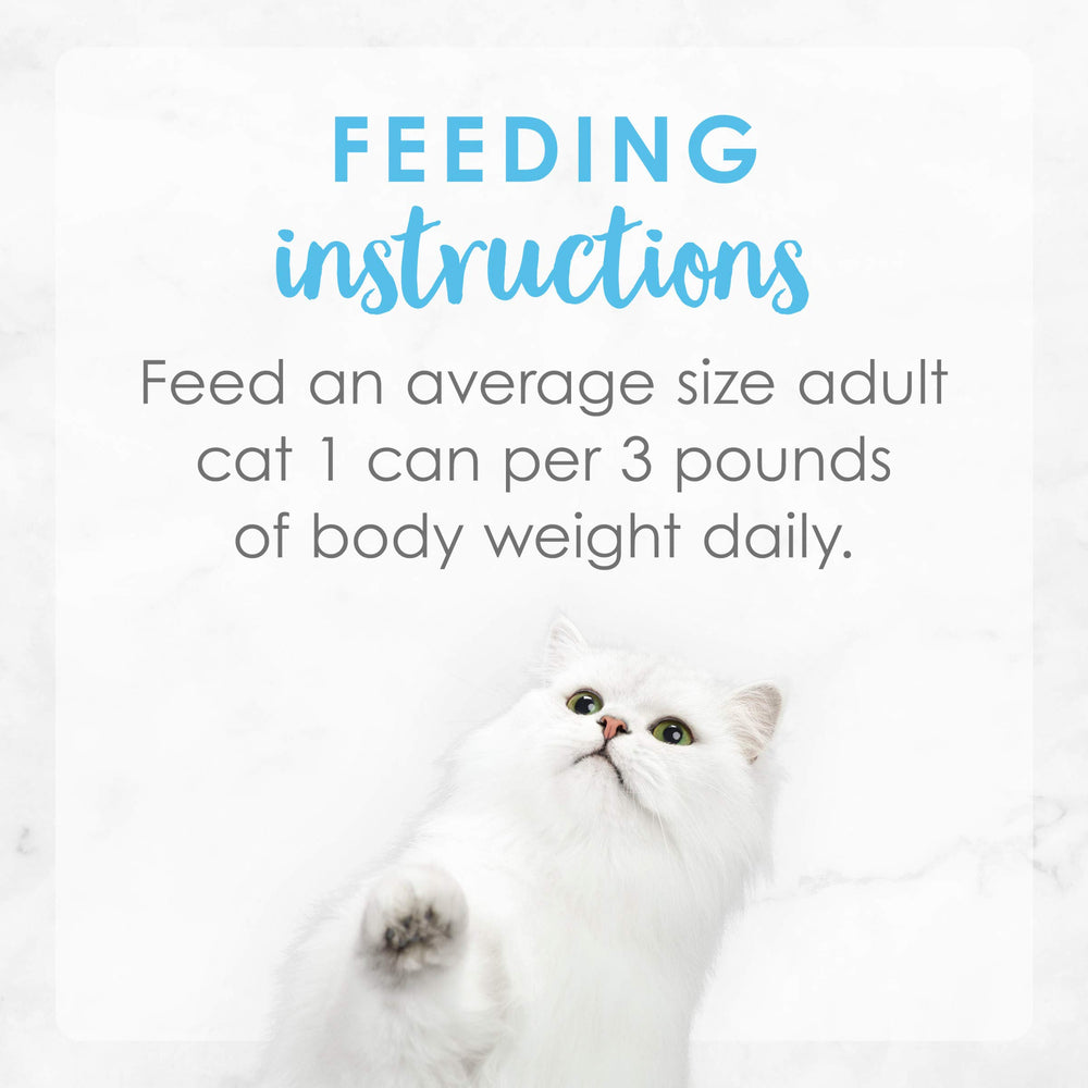 Fancy Feast Latas Reciclables: opción responsable para tu gato.