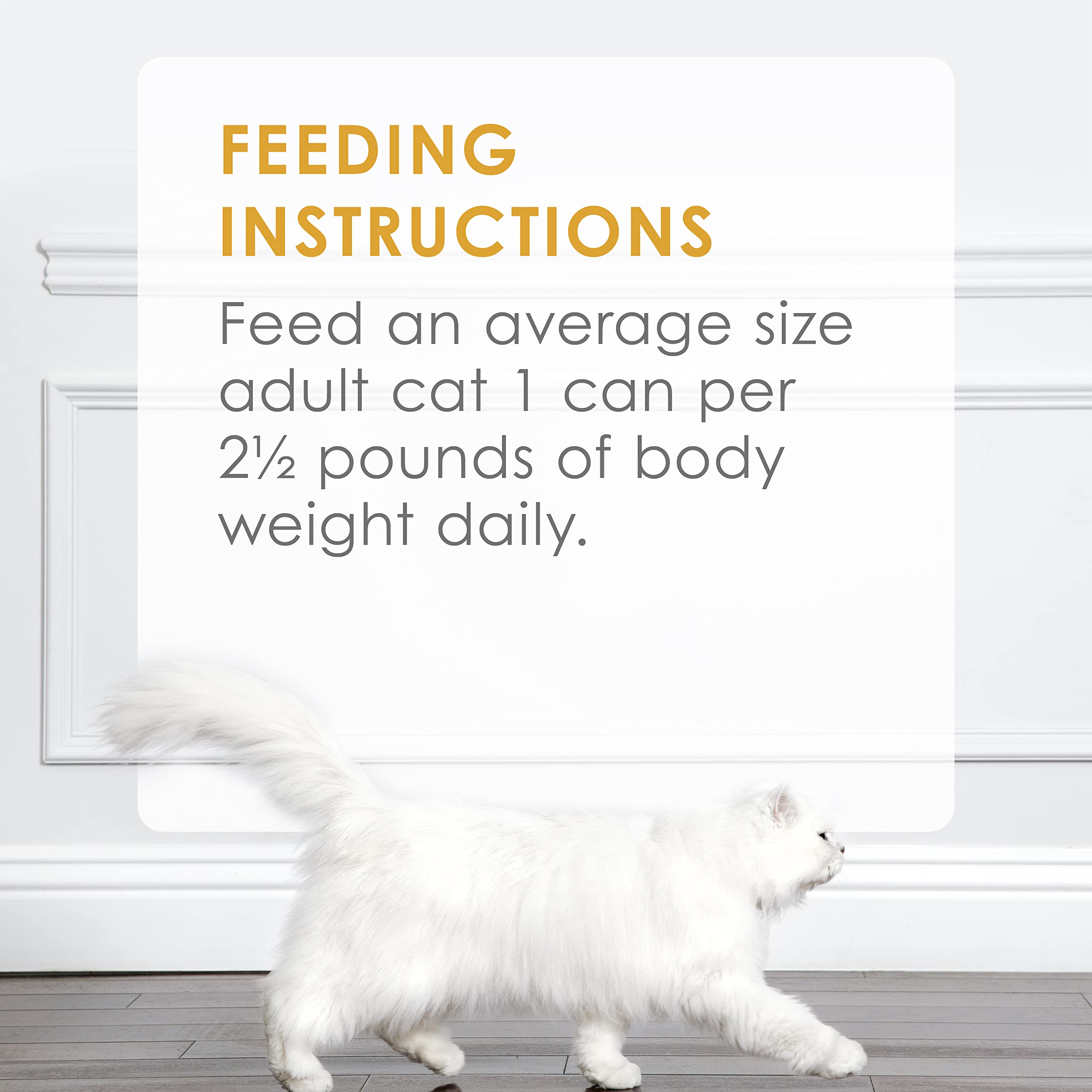 Fancy Feast completa y balanceada para gato: apoyo a la salud cotidiana.