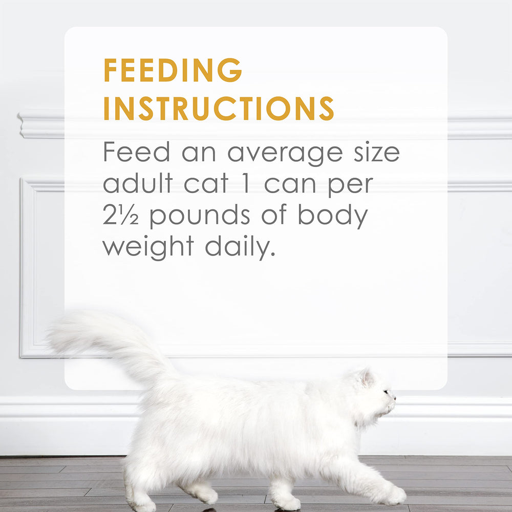 Fancy Feast completa y balanceada para gato: apoyo a la salud cotidiana.