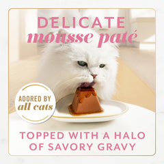Gems Mousse de salmón en forma piramidal, textura suave para gatos exigentes.