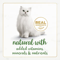 Pate de trucha Fancy Feast Gourmet Naturals, opción proteica para gatos activos