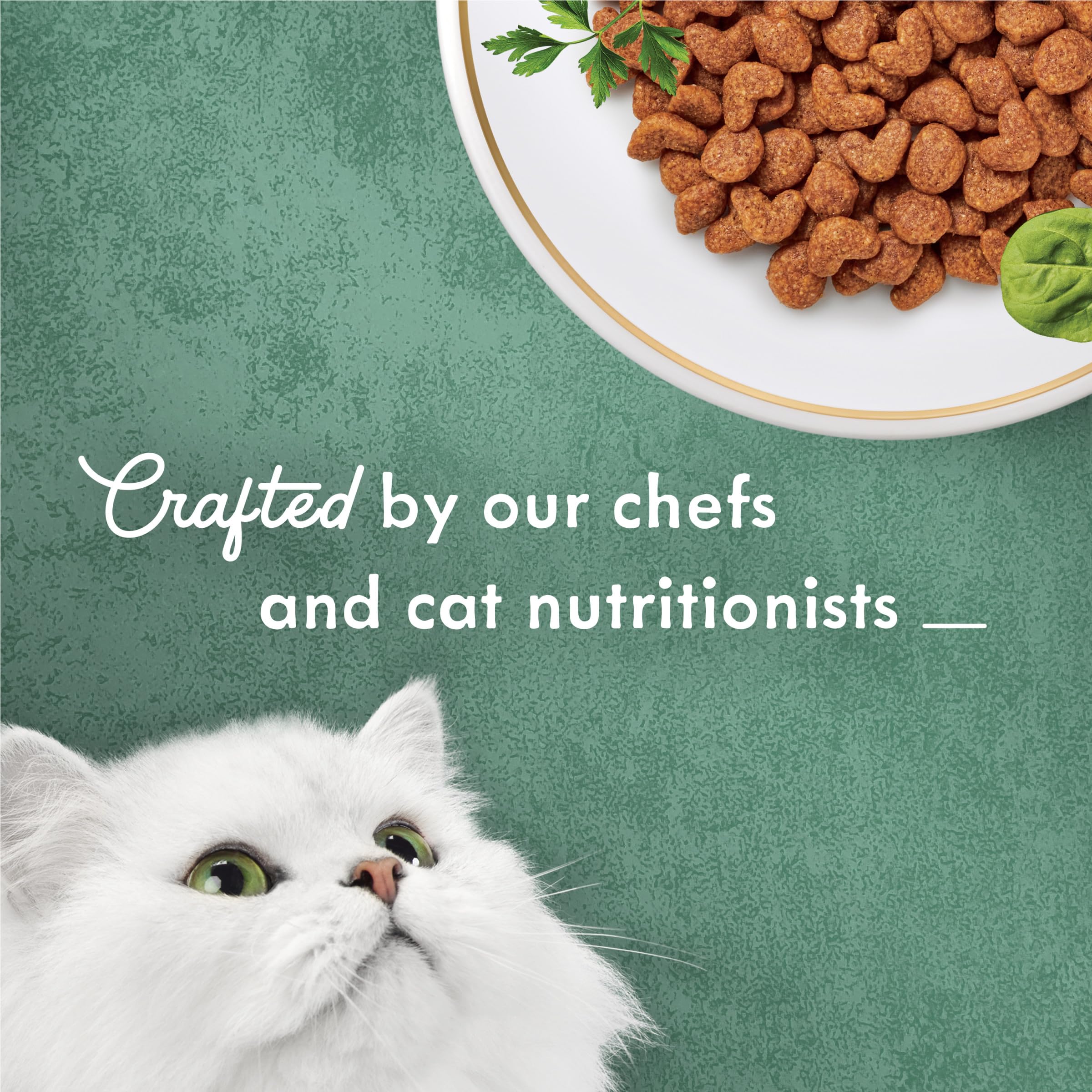 Fancy Feast Medleys Primavera con acento zanahoria, textura atractiva para variedad diaria.