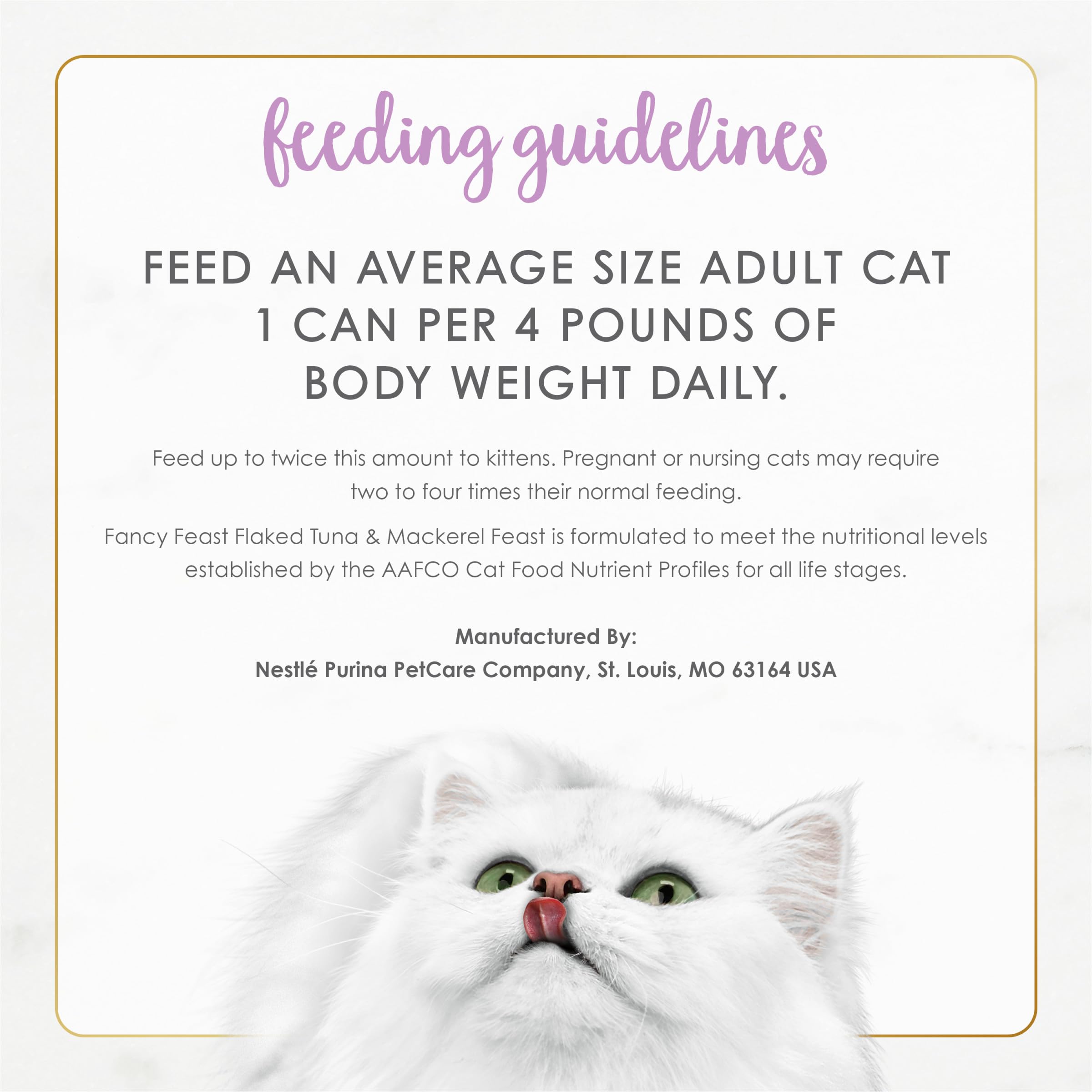 Sabor marino de Fancy Feast que estimula el interés del gato.