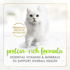 Purina Fancy Feast Salmón en paté, sabor real que gusta a muchos gatos.
