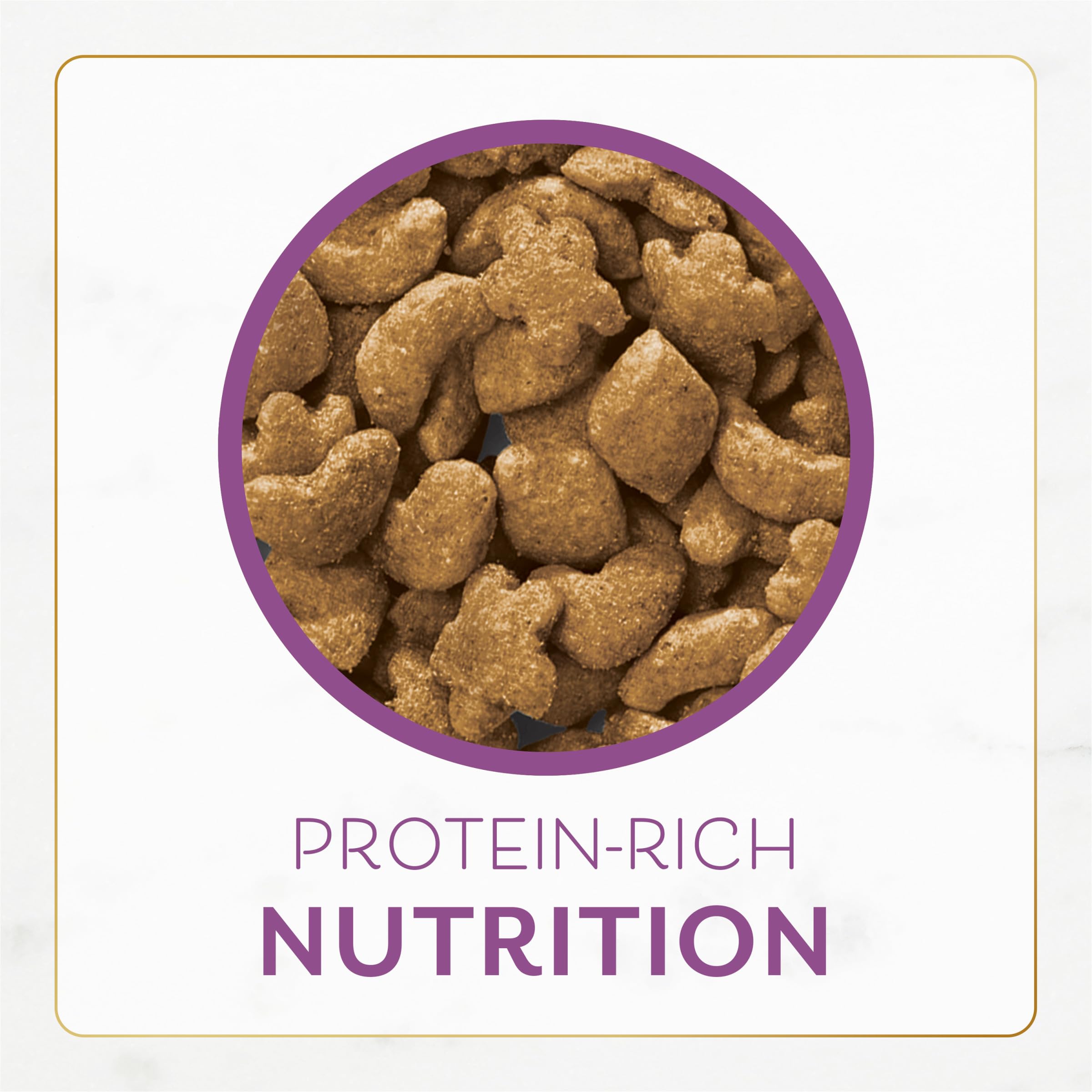 Fancy Feast: ingredientes de calidad para alimentación diaria confiable