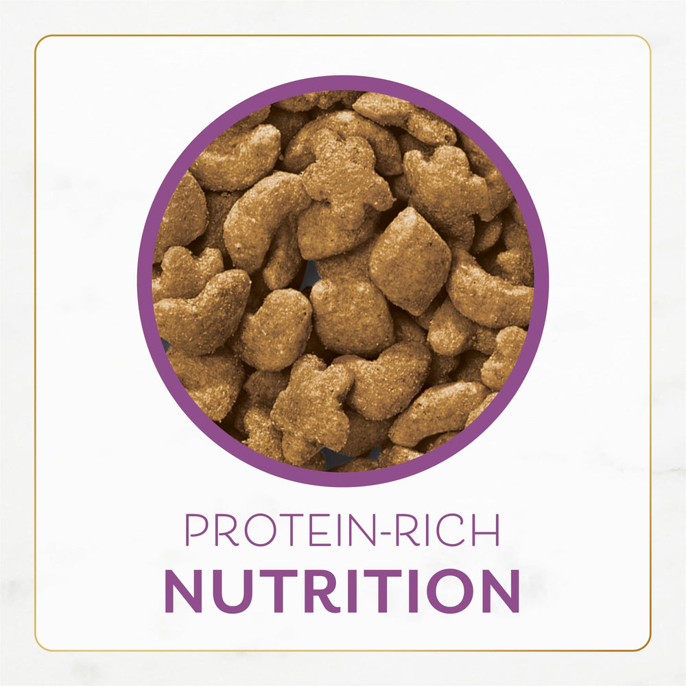 Fancy Feast: ingredientes de calidad para alimentación diaria confiable
