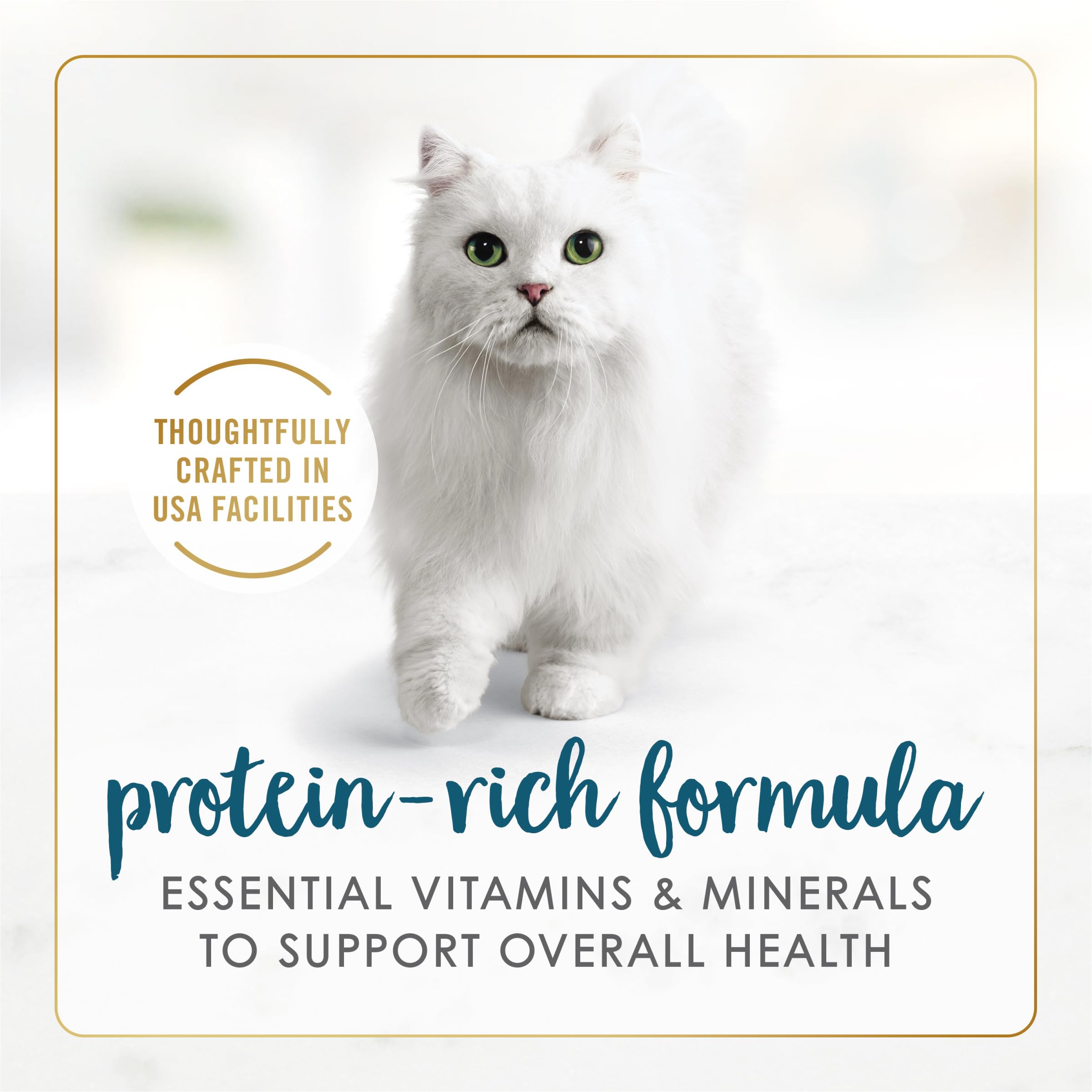 Fancy Feast Senior lata con jugo sabroso para gatos mayores