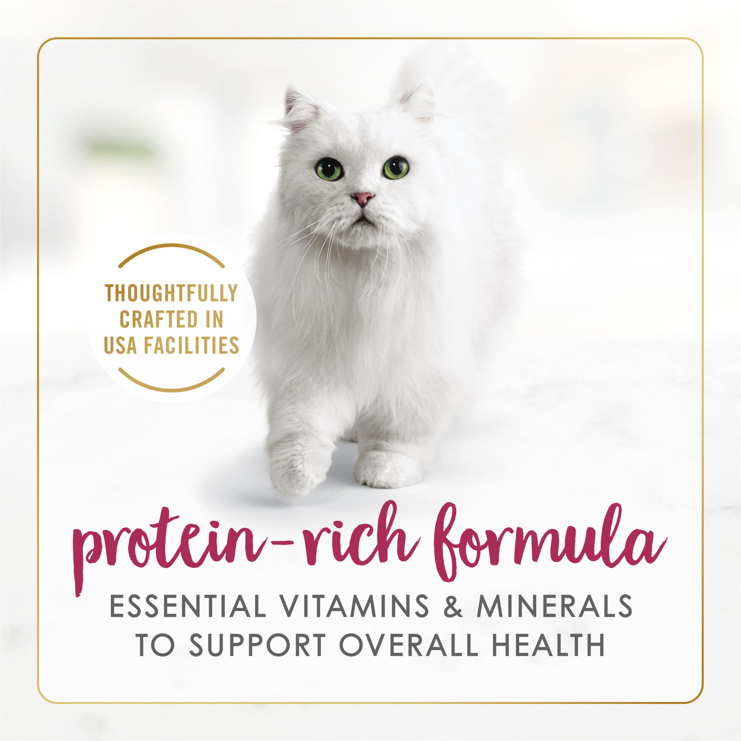 Purina Fancy Feast Pate sin colorantes artificiales, con taurina y antioxidantes para gatos senior.