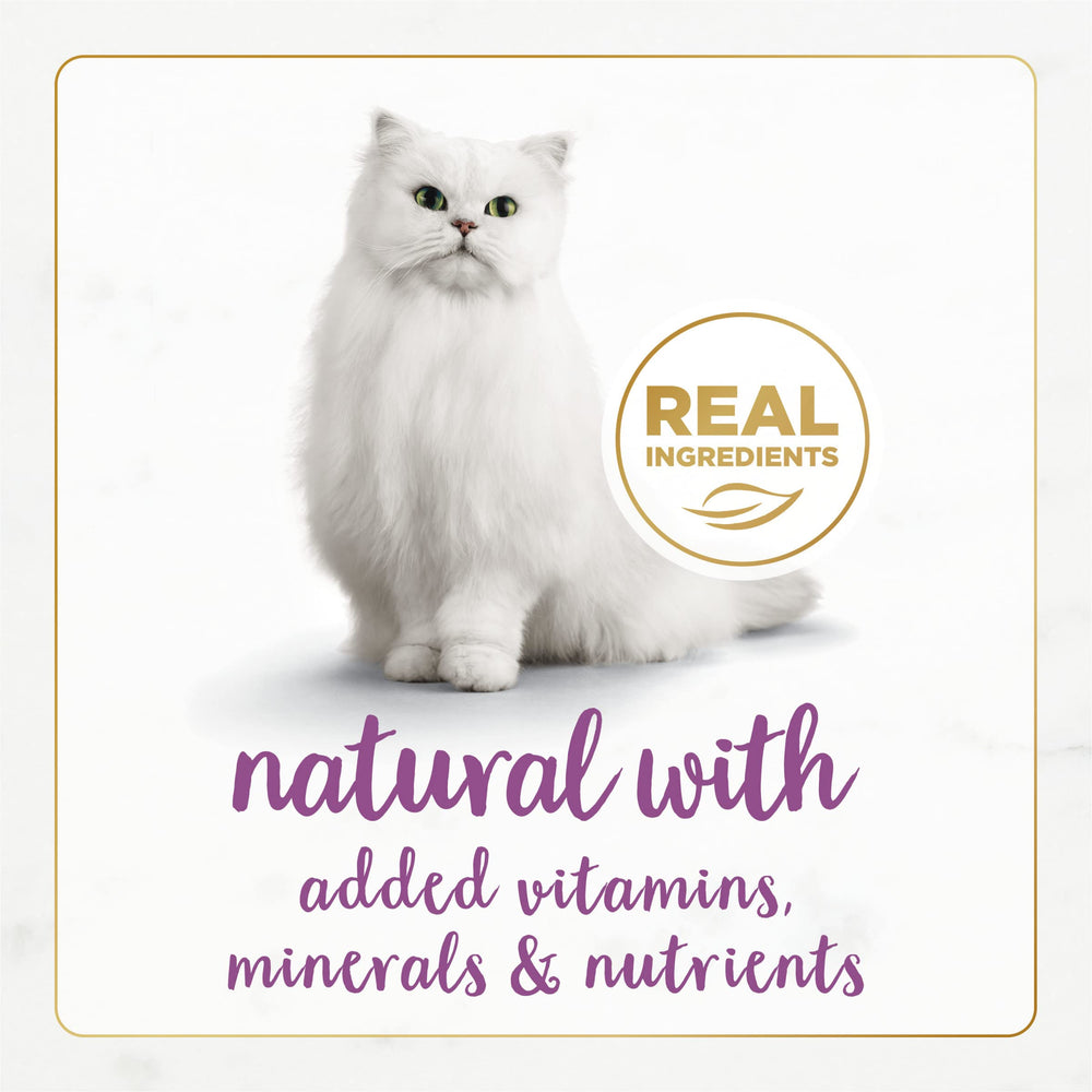 Fancy Feast Textura paté suave que facilita la alimentación de gatos adultos.