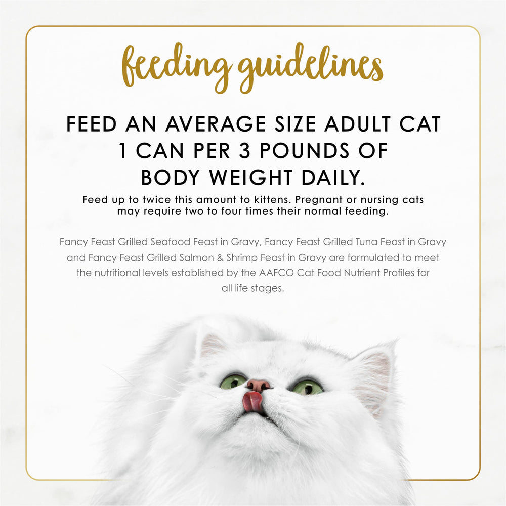 Fancy Feast Vista del Pack: presentación atractiva para la dieta diaria
