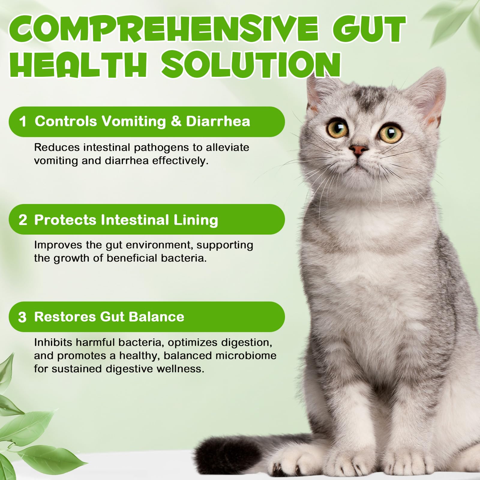 FANGCUN producto probiótico para gatos, uso diario facilita equilibrio intestinal.