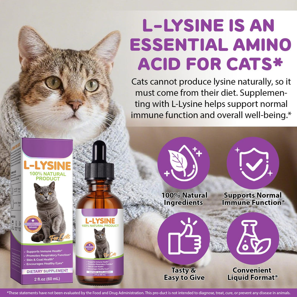 FANGCUN L-Lisina, opción para mezclar con comida diaria de tu gato