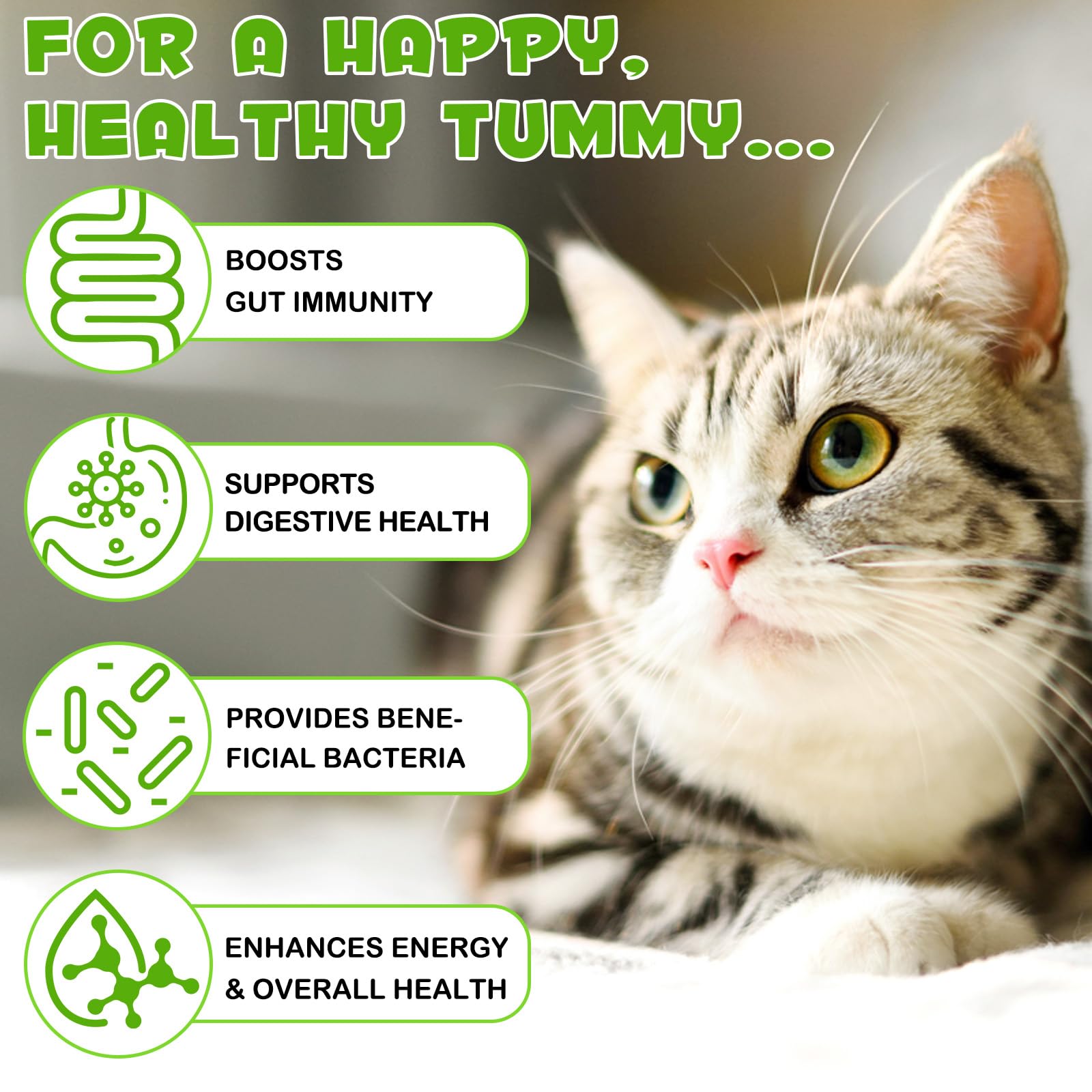 FANGCUN prebióticos para gatos, flora intestinal equilibrada.