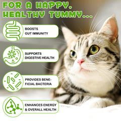 FANGCUN Probiotics para gatos: enzimas digestivas para una mejor absorción.