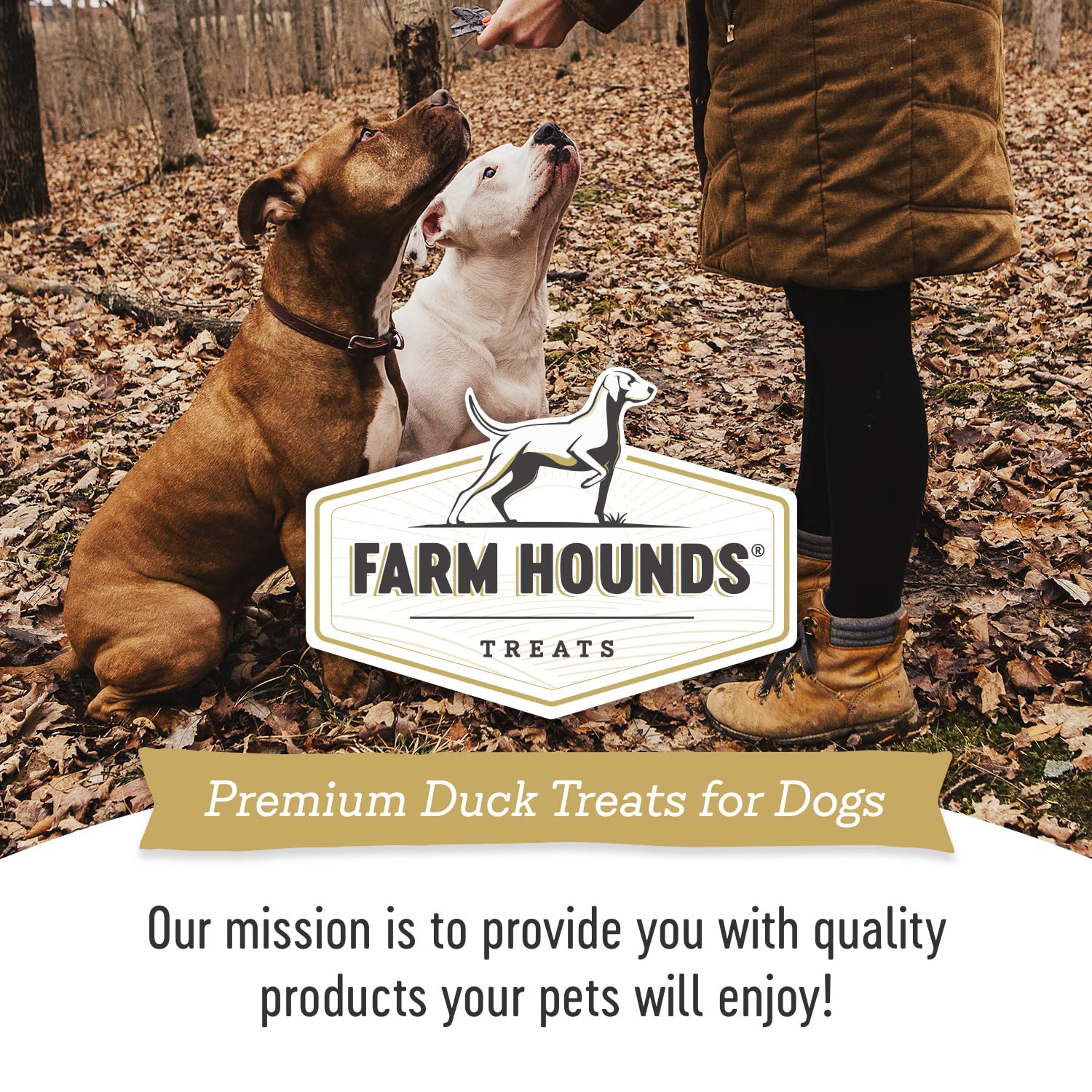 Farm Hounds Canard Trainers idéal pour entraînement quotidien du chien