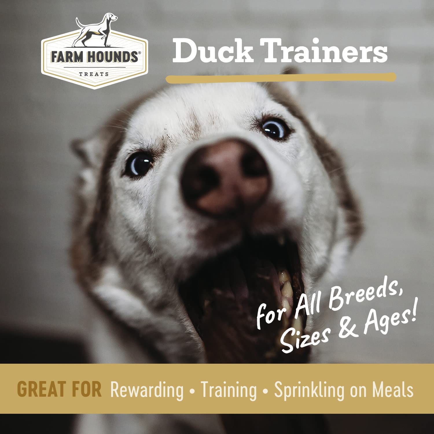Farm Hounds Canard Trainers tranches petites, récompense idéale