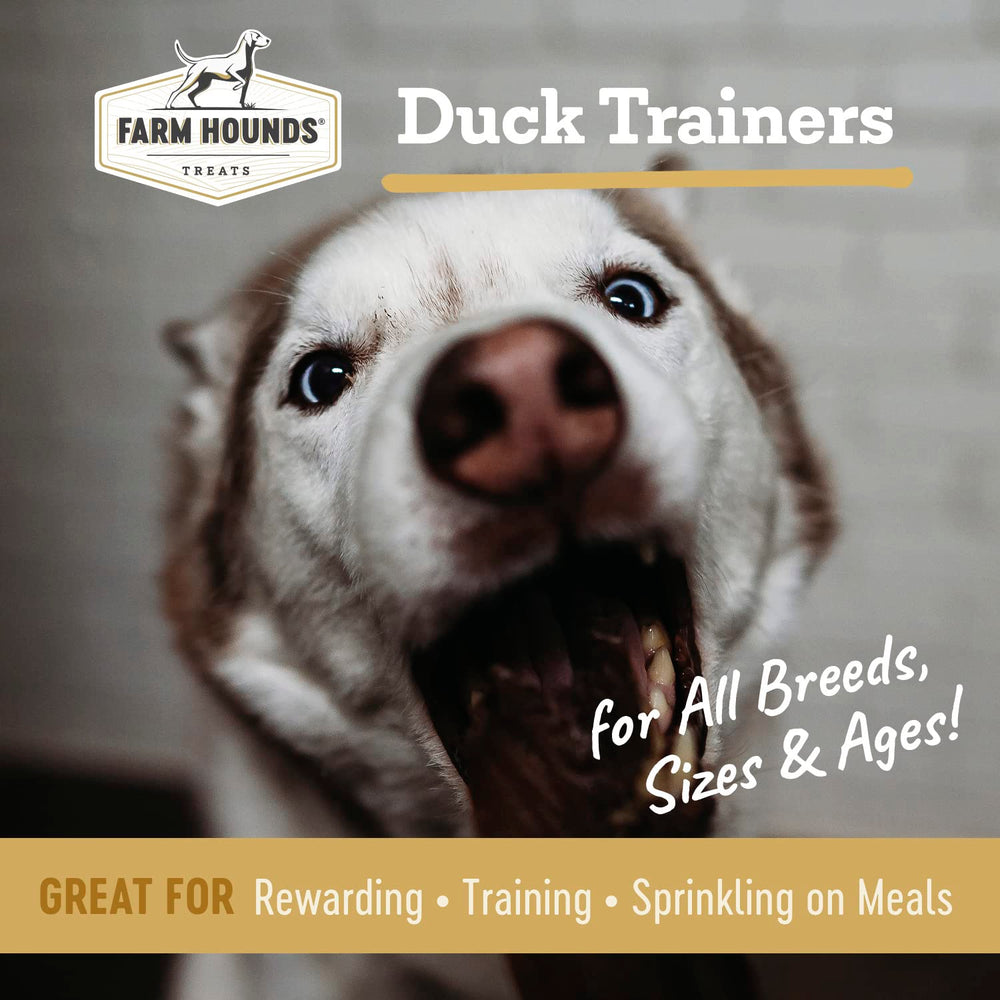 Farm Hounds Canard Trainers tranches petites, récompense idéale