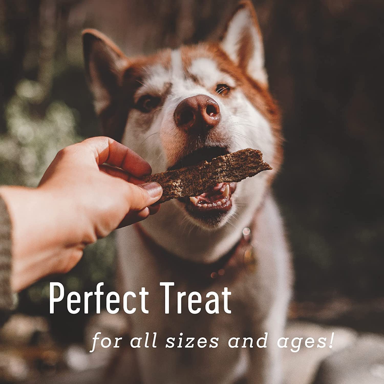 Farm Hounds Duck Strips, pato criado humanamente para consumo responsable.