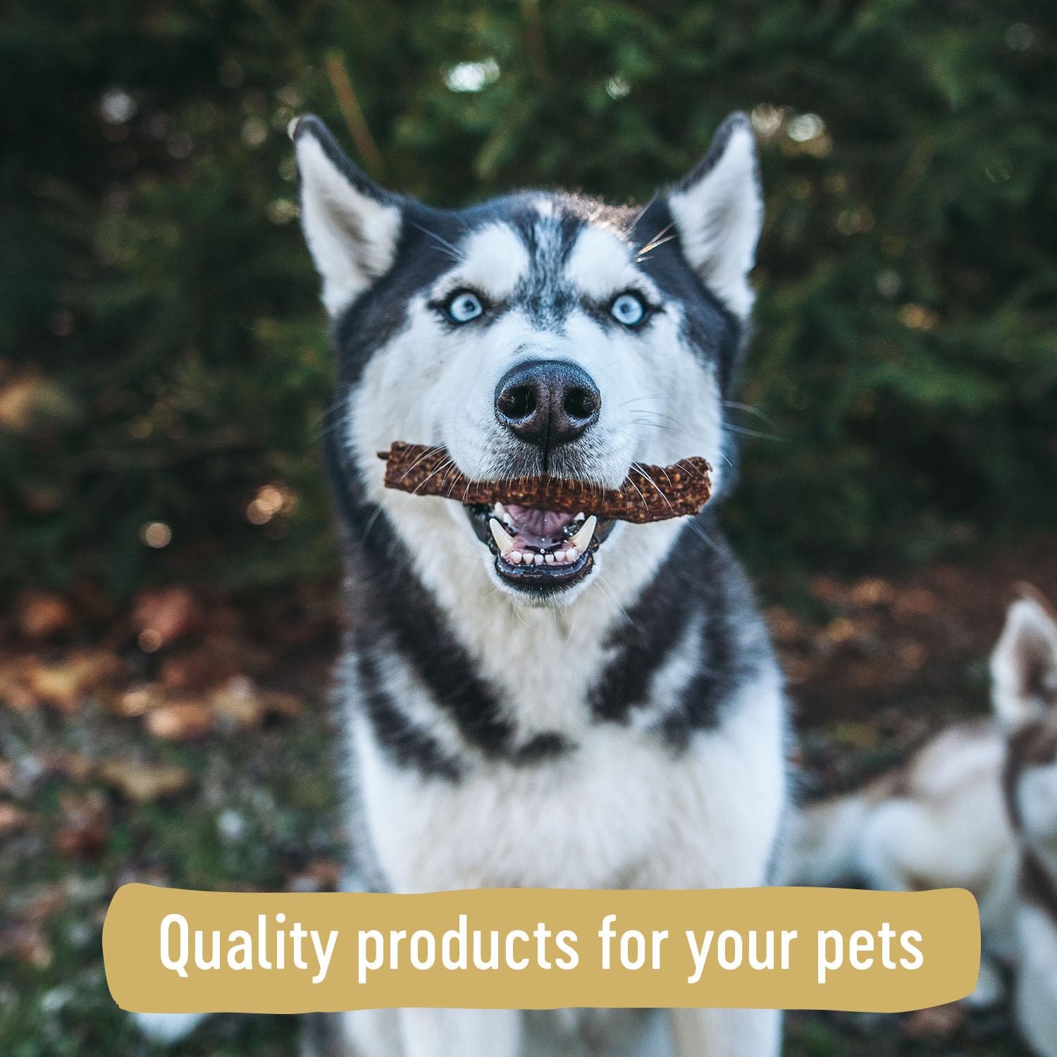 Farm Hounds mollejas de pato tiras: sabor puro para perros.