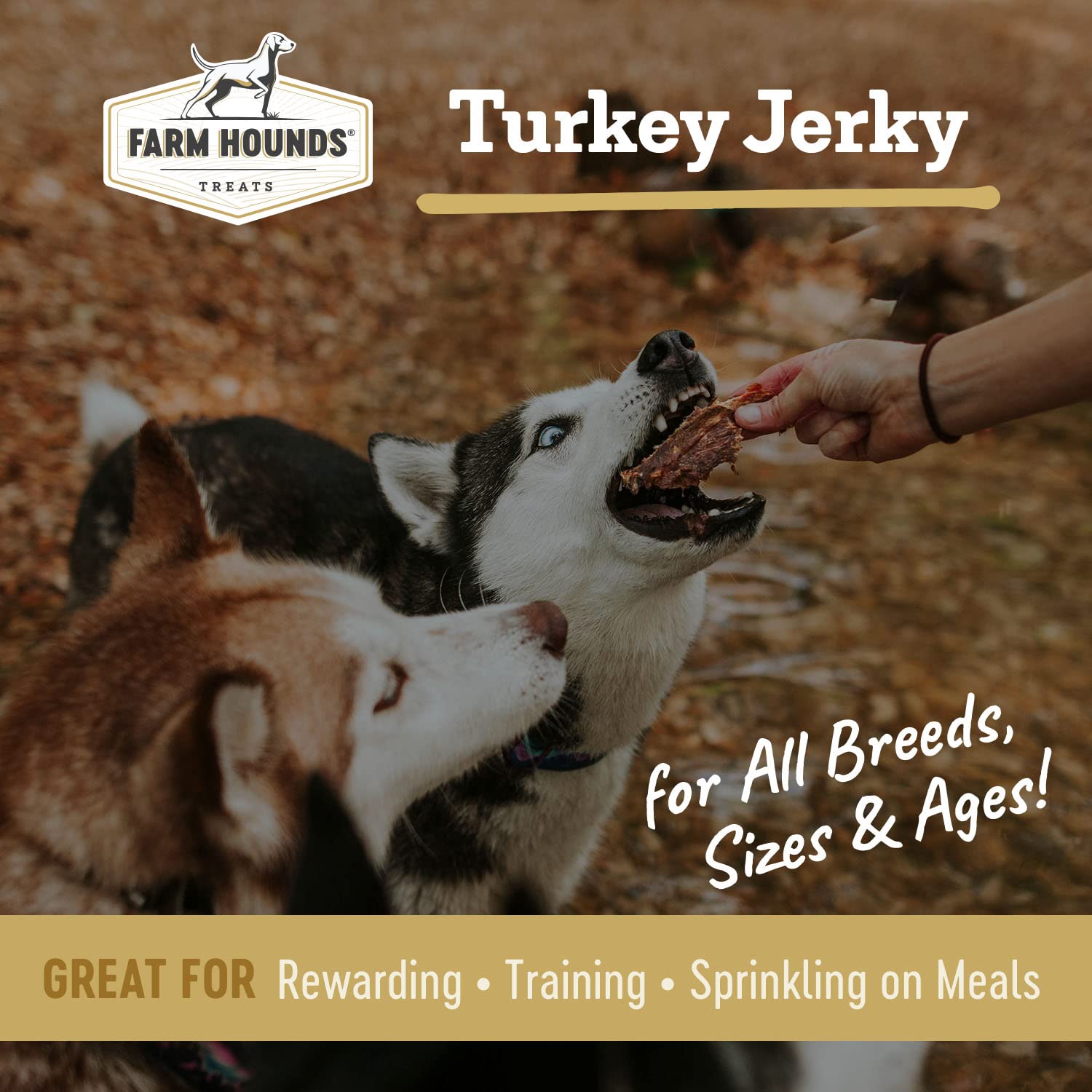 Farm Hounds jerky de pavo para entrenamiento: recompensa sabrosa