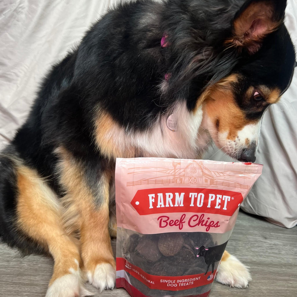 Farm To Pet hecho en EE. UU. con carne de res de grado humano