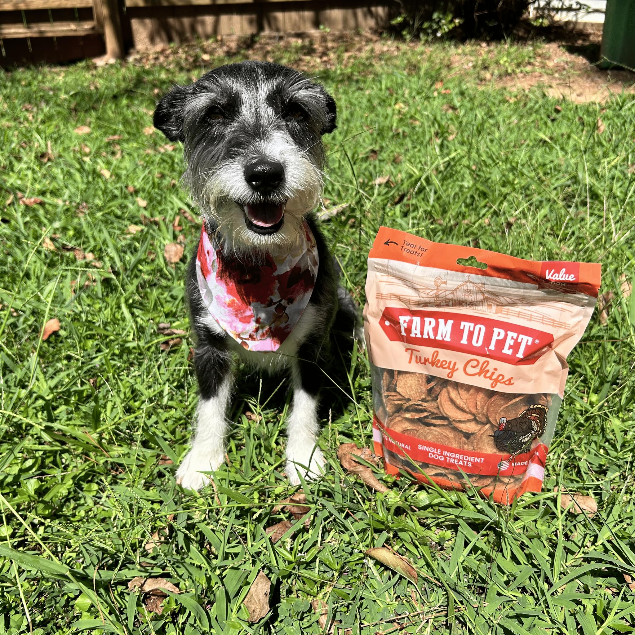 Farm To Pet, recompensas para entrenamiento que facilitan sesiones positivas.
