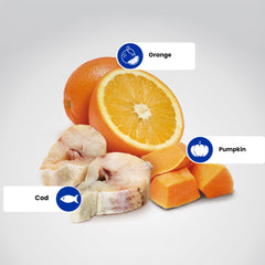 Farmina N&D Ocean Bacalao, calabaza y naranja, cuchara medidora para porciones consistentes.