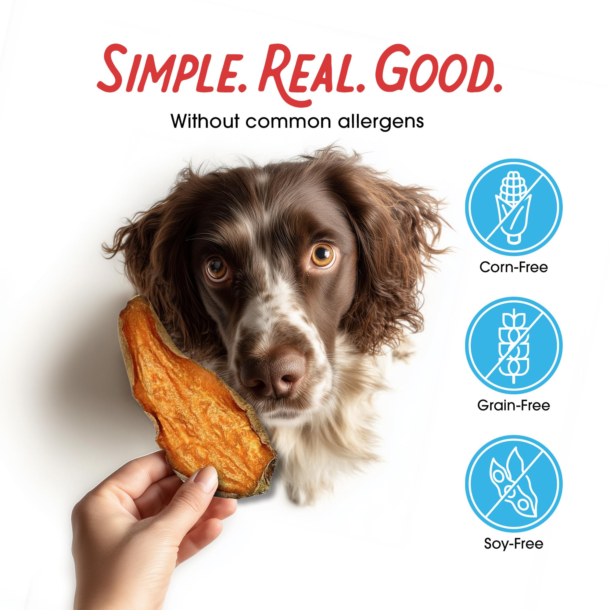 Farmland Traditions: ideal para entrenar perros de todas las razas y tamaños
